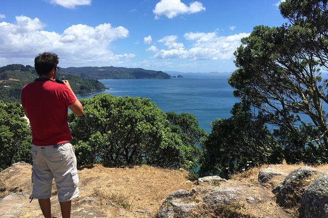 Cathedral Cove Day Trip from Auckland - What the guide adds to the day