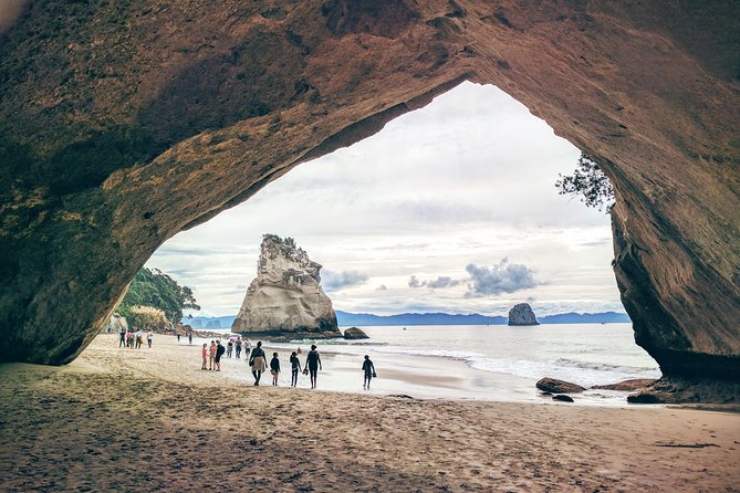 Cathedral Cove Day Trip from Auckland - The 30-minute walk to Cathedral Cove