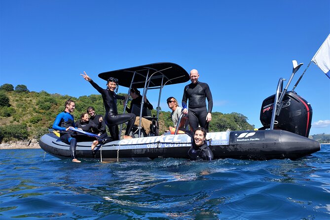 Cathedral Cove Dive & Snorkel- Marine Reserve specialised trips - Key points at a glance