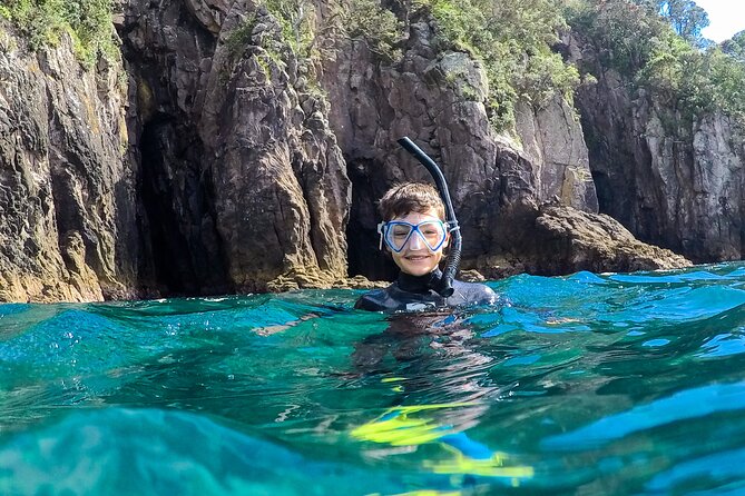 Cathedral Cove Dive & Snorkel- Marine Reserve specialised trips - An hour among reefs, ledges, and fish