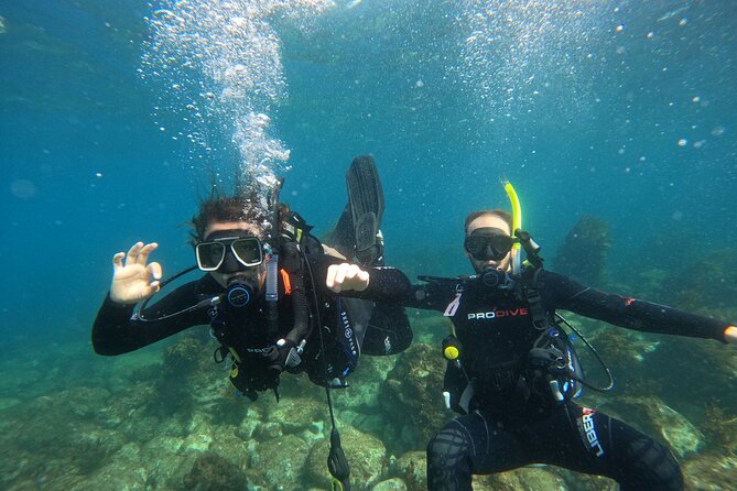 Cathedral Cove Dive & Snorkel- Marine Reserve specialised trips - Limits you should consider before booking
