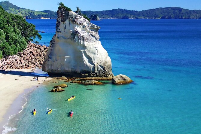Cathedral Cove Kayak Tour - The cappuccino stop is more useful than it sounds