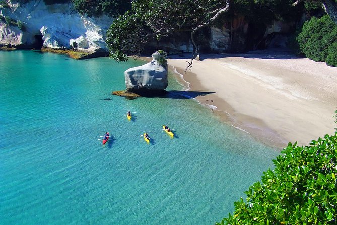 Cathedral Cove Kayak Tour - Sea caves, rock gardens, and kayak sailing