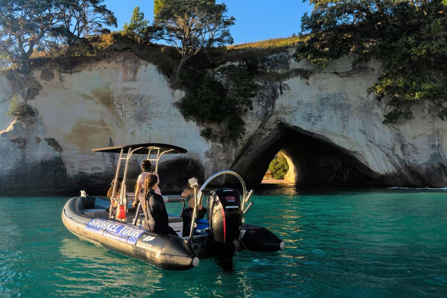 Cathedral Cove Marine Reserve: Snorkeling Boat Trip - Why the Instruction Matters
