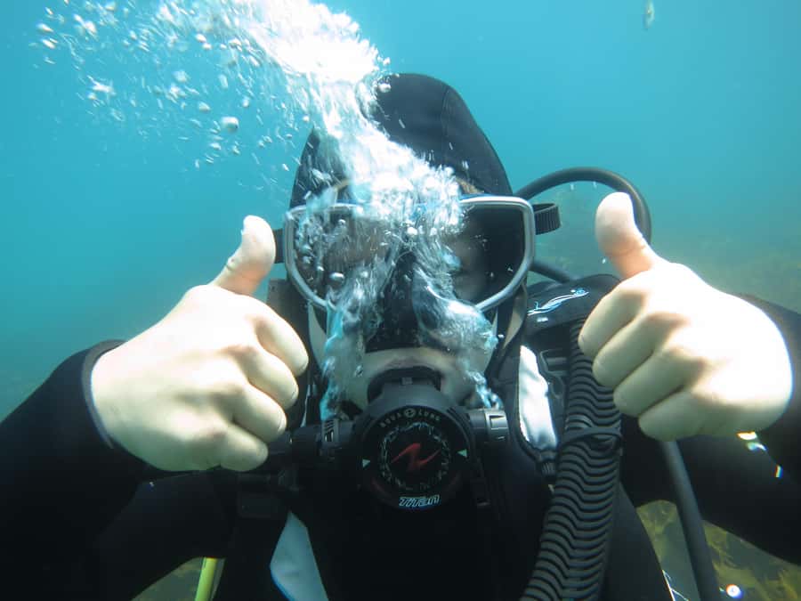 Cathedral Cove Marine Reserve: Snorkeling Boat Trip - Who Will Enjoy This Most?