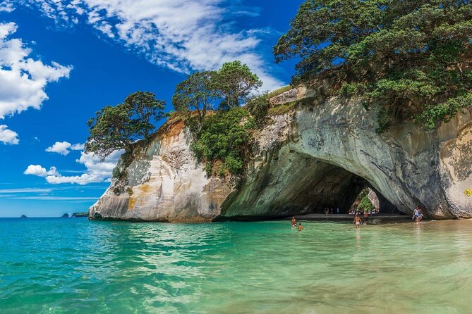Cathedral Cove with the Lost Spring Hidden Spa - Who should book this day?