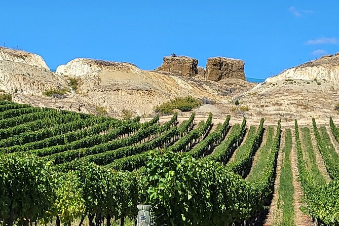 Central Otago Wine Tour Small Group, Expert Guide & Scenic Views - Te Kano Estate and Terra Sancta