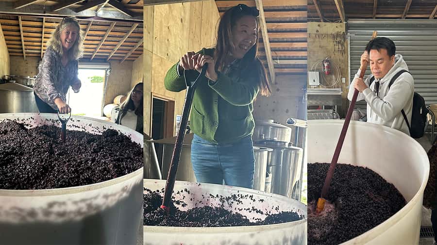 Chefs Private Martinborough wine tour with Gourmet Lunch - A Long Lunch With Local Food
