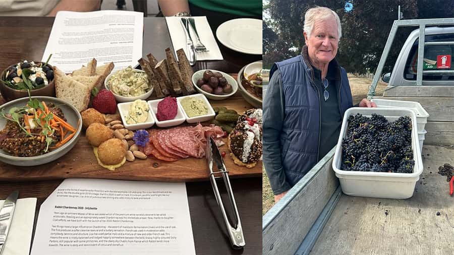 Chefs Private Martinborough wine tour with Gourmet Lunch - The Guide Changes the Tone of the Day