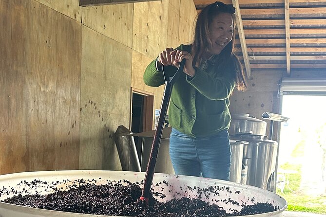 Chefs Private Martinborough Wine Tour with lunch from Wellington - Key points to know before booking