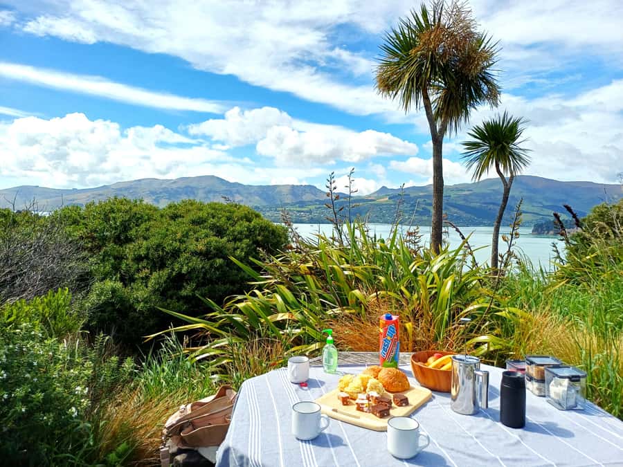Christchurch: 1/2-Day Scenic Highlights Small Group Tour - The Sign of the Takahe and its old stone character