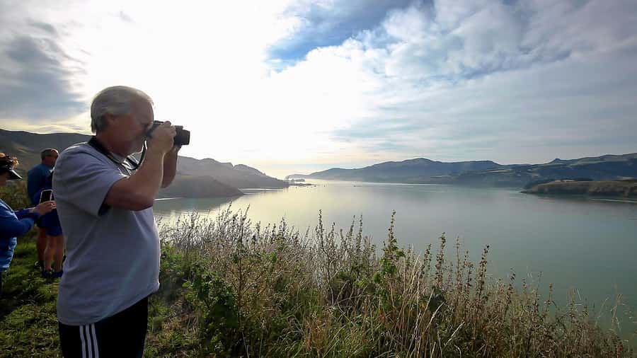 Christchurch: 1/2-Day Scenic Highlights Small Group Tour - What the small-group format changes