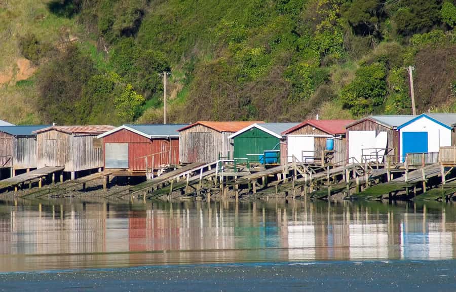 Christchurch: Akaroa and Banks Peninsula Day Trip - What the $328 price includes