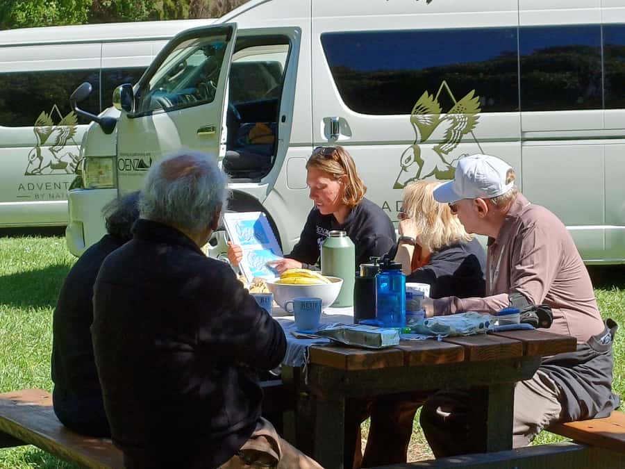 Christchurch: Akaroa and Banks Peninsula Day Trip - The road through Lyttelton Harbour and volcanic country