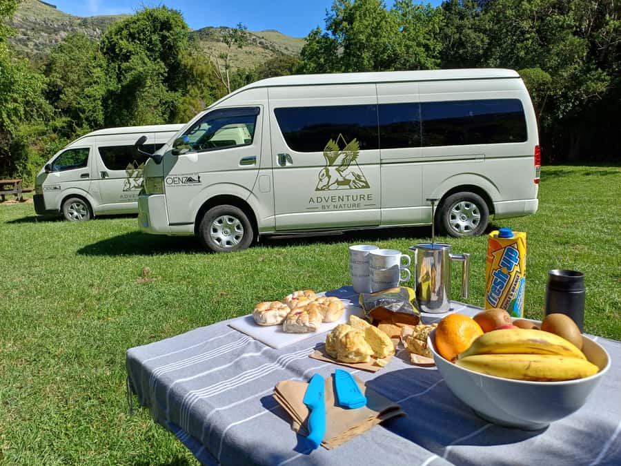 Christchurch: Arthur's Pass & Castle Hill Scenic Day Tour - What the eight-hour schedule feels like