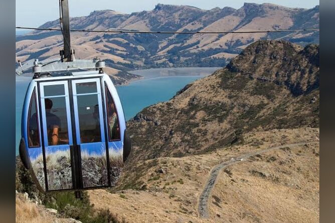 Christchurch City Full Day Private Tour - International Antarctic Centre, where Christchurch points south