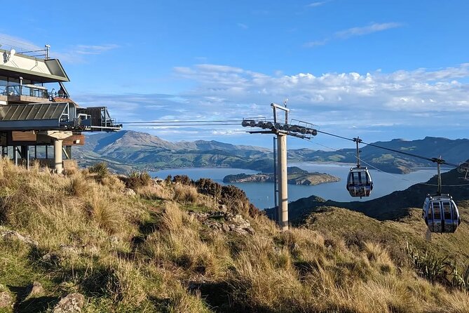 Christchurch City Full Day Tour - Lyttelton Harbour from the Port Hills