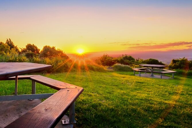Christchurch City Highlights Half Day Tour - What the guides add to the day