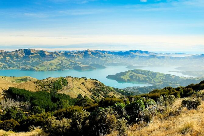Christchurch City Highlights Half Day Tour - Small group, transport, and timing
