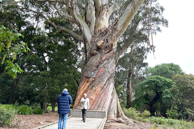 Christchurch City Top Sights Half Day Tour(Small Group Tour) - What the $114.81 price really includes