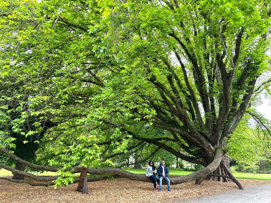 Christchurch City Top Spots Half Day Tour(Small Group Tour) - The city’s Gothic Revival buildings and final cultural stop
