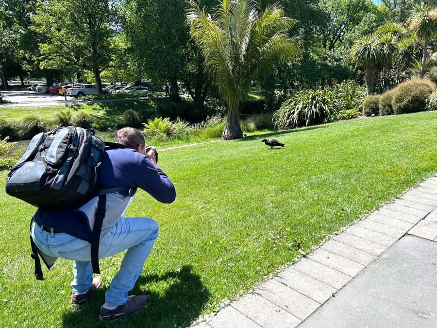 Christchurch City Top Spots Half Day Tour(Small Group Tour) - Is NZ$119 a fair price?