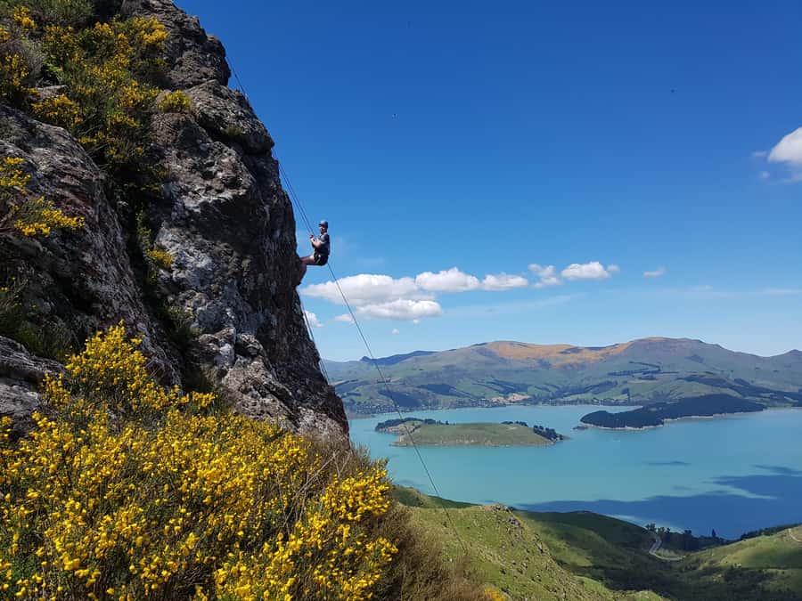 Christchurch: Full or Half-Day Rock Climbing Tour with Guide - Learning to abseil after the climbing session