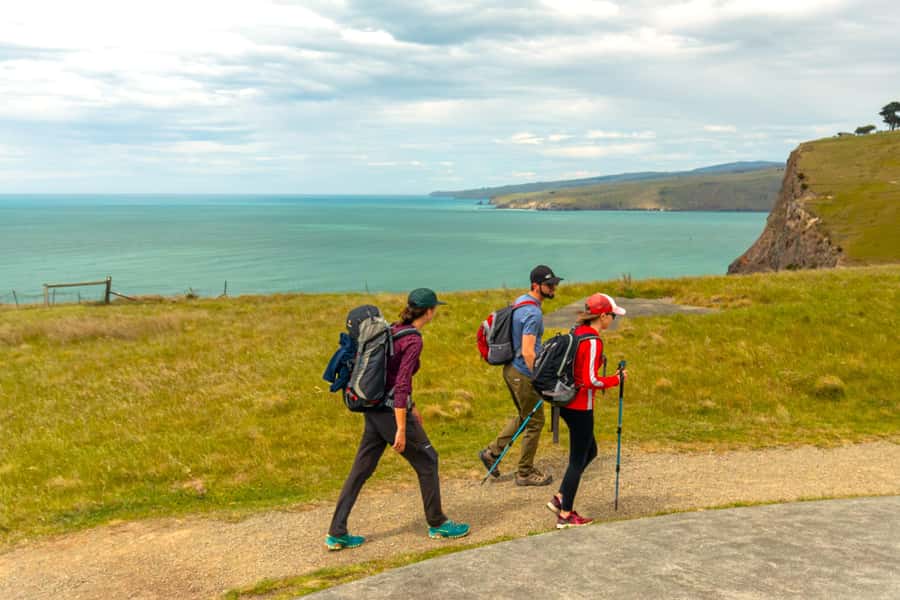 Christchurch: Godley Head & Lyttelton Guided Walking Tour - From Christchurch to the port town of Lyttelton
