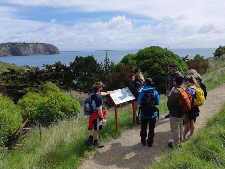 Christchurch: Godley Head & Lyttelton Guided Walking Tour - Starting the walk at Taylors Mistake
