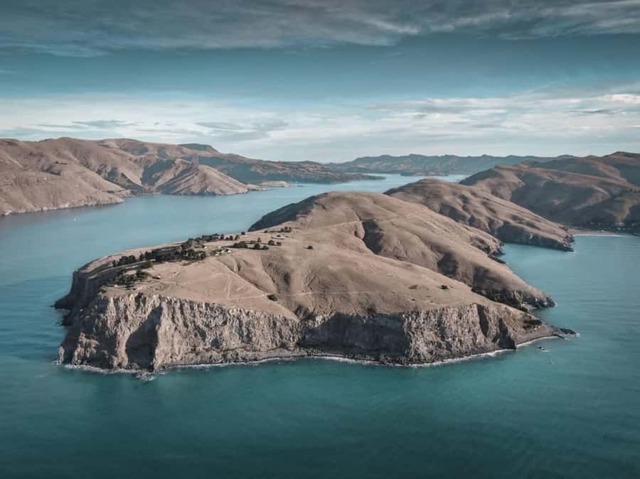 Christchurch: Godley Head & Lyttelton Guided Walking Tour - Lunch at Boulder Bay or Godley Head