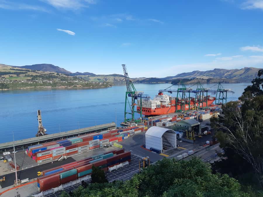 Christchurch: Godley Head & Lyttelton Guided Walking Tour - What the guide adds to the day