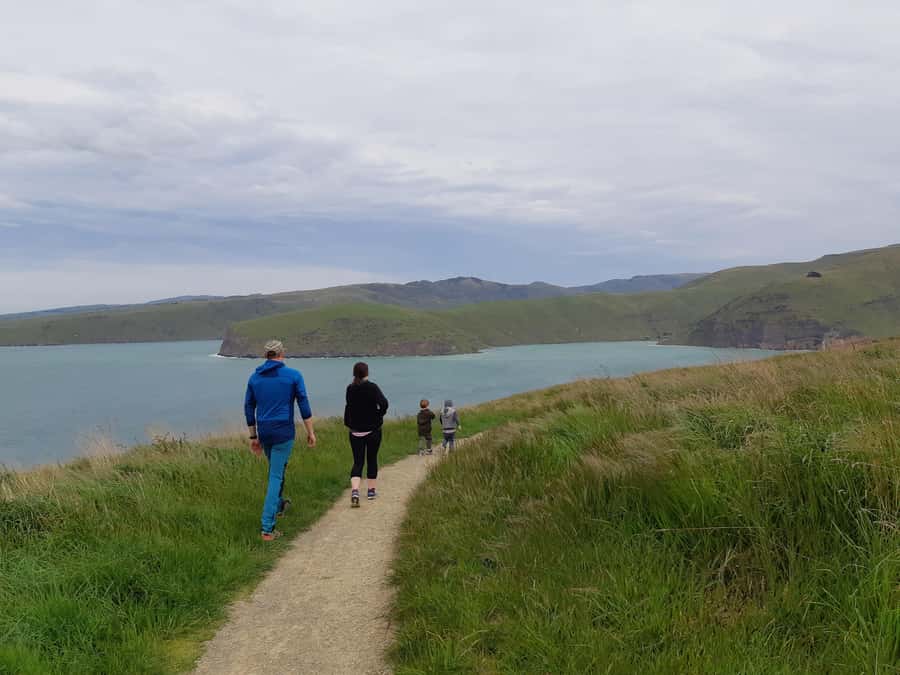 Christchurch: Godley Head & Lyttelton Guided Walking Tour - How much value do you get for $178?