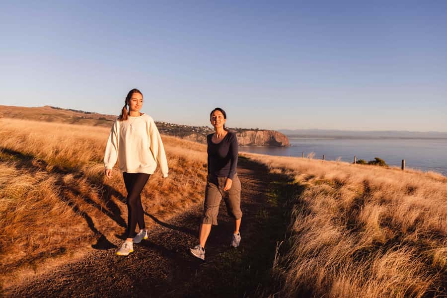 Christchurch: Godley Head & Lyttelton Guided Walking Tour - Evans Pass and the view over Sumner
