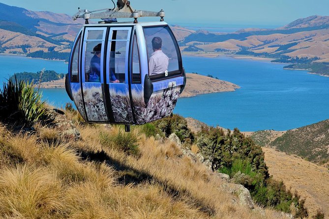 Christchurch Gondola Ride Ticket - The ride from Heathcote Valley to Mt. Cavendish