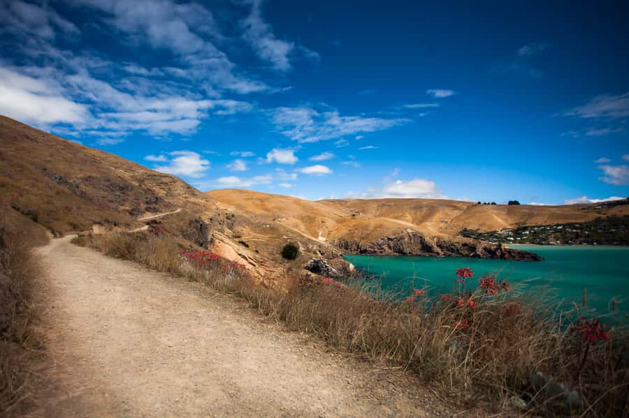 Christchurch: Guided Crater Rim Walk with Picnic - Should you book the Crater Rim Walk?