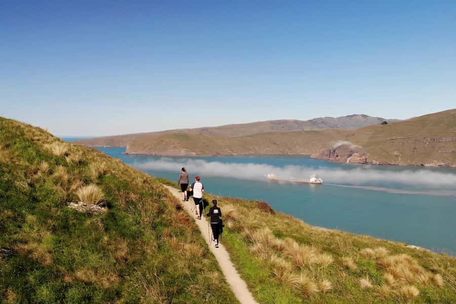 Christchurch: Guided Crater Rim Walk with Picnic - Why this walk is a smart Christchurch choice
