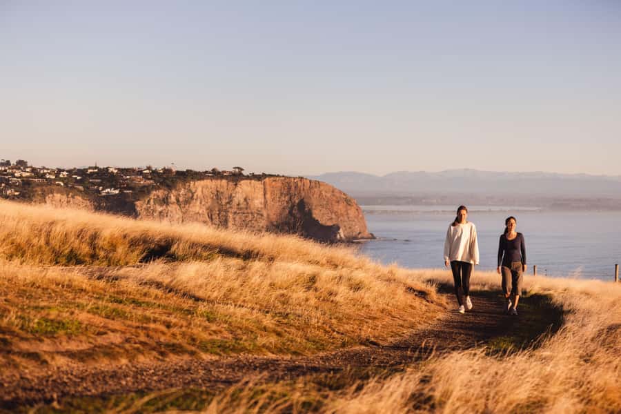 Christchurch: Guided Crater Rim Walk with Picnic - Walking the Godley Head Crater Rim Track