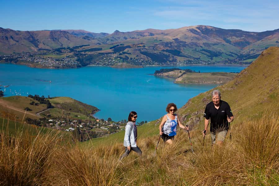 Christchurch: Guided Crater Rim Walk with Picnic - WW2 gun emplacements and an Antarctic cabin