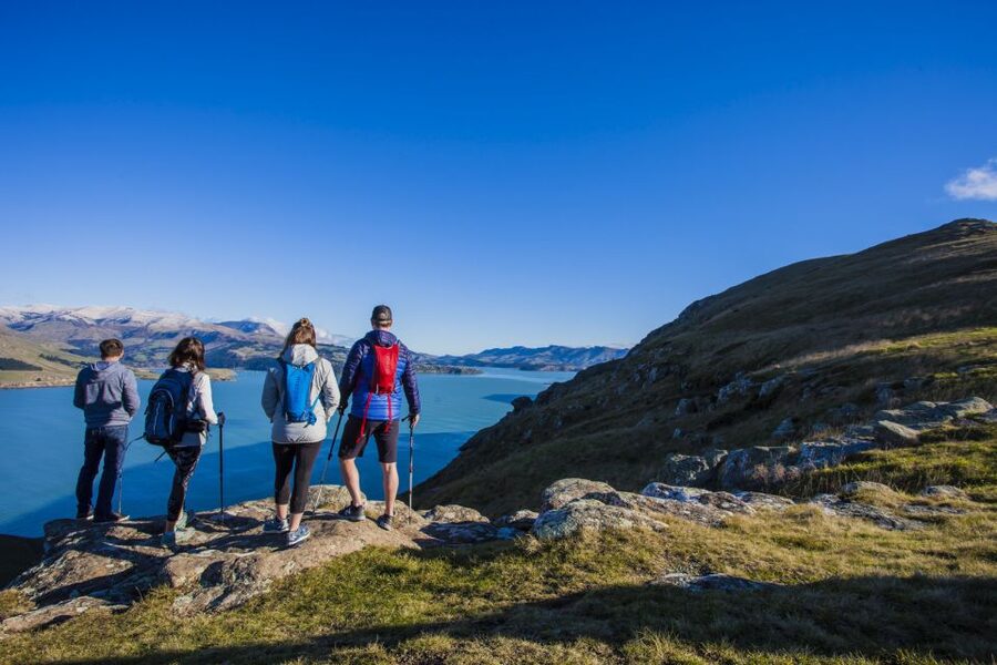 Christchurch: Guided Crater Rim Walk with Picnic - Cruise pickup and other practical details