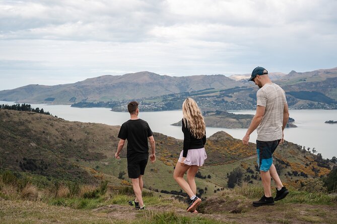 Christchurch Highlights Tour (Full Day Private) - Why this private Christchurch day works well