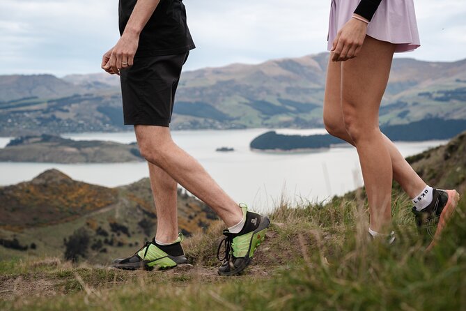 Christchurch Highlights Tour (Full Day Private) - Port Hills delivers the best city panorama