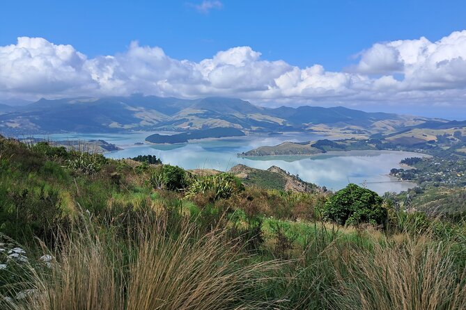 Christchurch Highlights Tour (Full Day Private) - Lyttelton Harbour puts Christchurch on the map