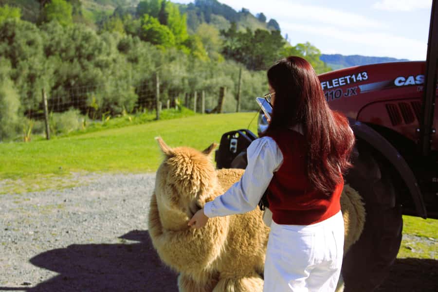 Christchurch: Lake Tekapo Stargazing & Mount Cook 2-Day Tour - Key points at a glance