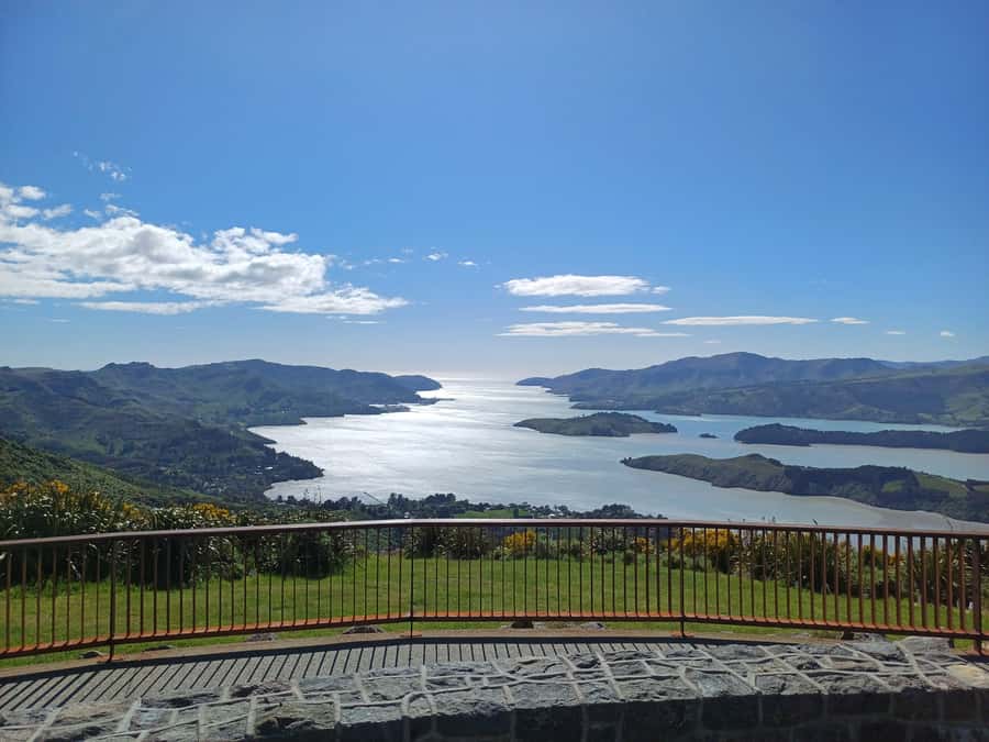 Christchurch: Packhorse Hut Guided Walk and Scenic Drive - The Sign of the Kiwi and the summit road