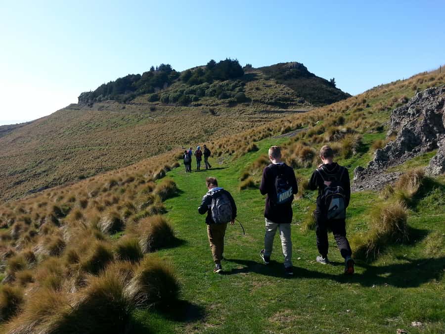Christchurch: Packhorse Hut Guided Walk and Scenic Drive - Group size, guiding, and the walking pace
