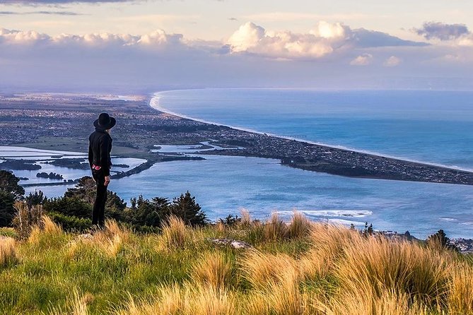 Christchurch Private Luxury Full Day Tour - Looking over the Canterbury Plains from Port Hills