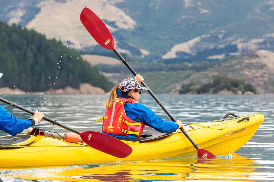 Christchurch: Sea Kayaking Tour of Lyttelton Harbour - Key things to know before you book