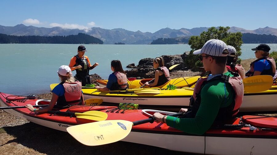 Christchurch: Sea Kayaking Tour of Lyttelton Harbour - Who will enjoy this day most
