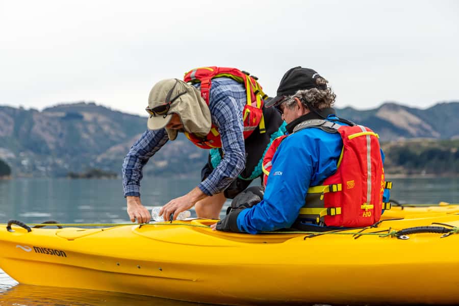 Christchurch: Sea Kayaking Tour of Lyttelton Harbour - Crossing to Otamahua, or Quail Island
