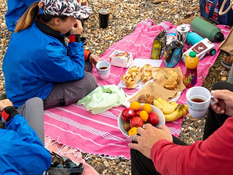 Christchurch: Sea Kayaking Tour of Lyttelton Harbour - Lunch, swimming, and a slower hour